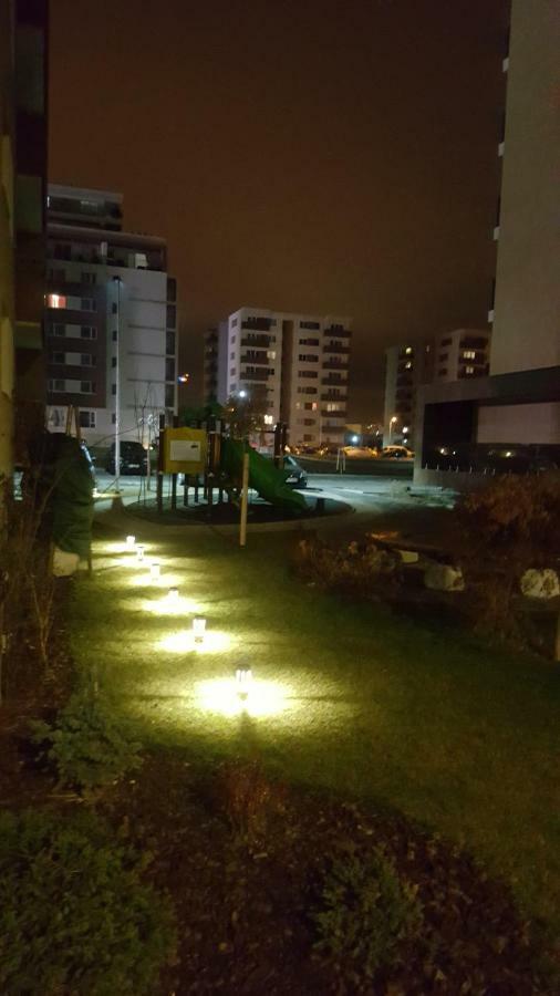 Alonisos Lux * Brașov